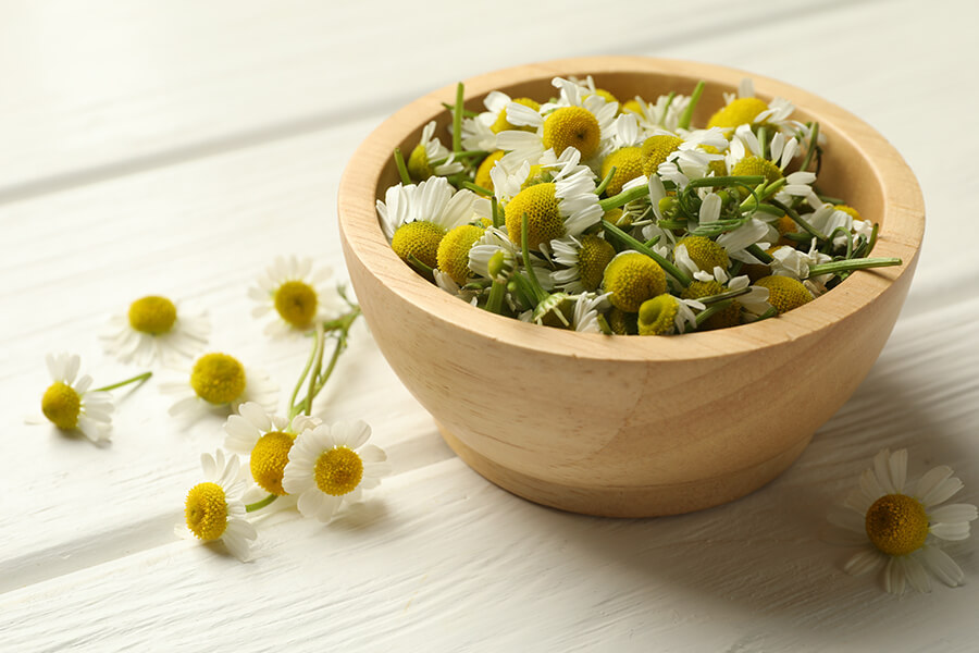 Chamomile