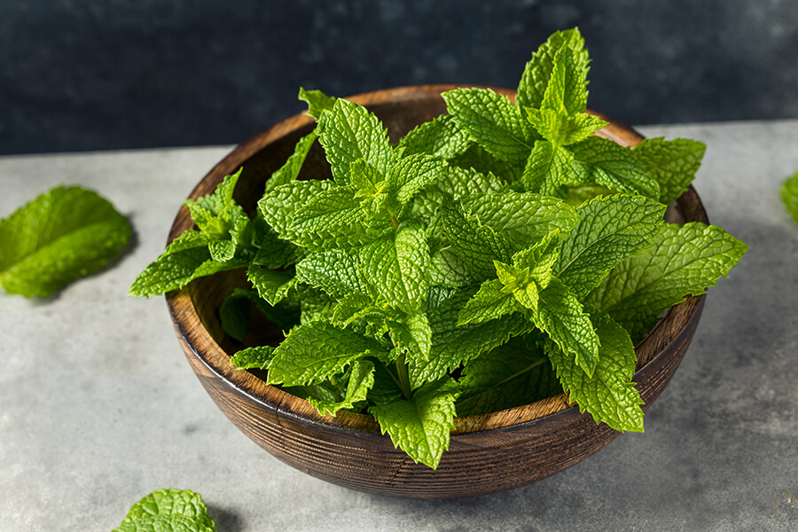 Peppermint